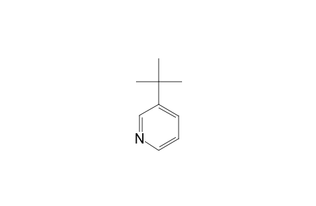 3-Tert-butylpyridine
