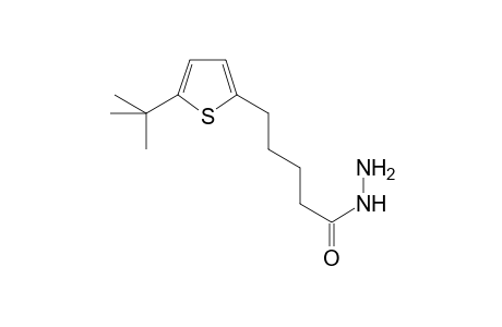 Pentanehydrazide, 5-(5-tert-butyl-2-thienyl)-