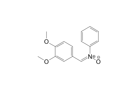 1-(3,4-dimethoxyphenyl)-N-phenyl-methanimine oxide