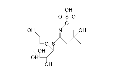 2-Hydroxy-2-methyl-propyl glucosinolate