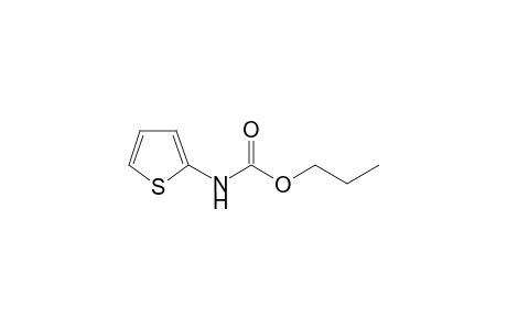 propyl (thiophen-2-yl)carbamate