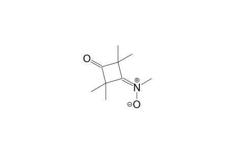 3-keto-N,2,2,4,4-pentamethyl-cyclobutanimine oxide