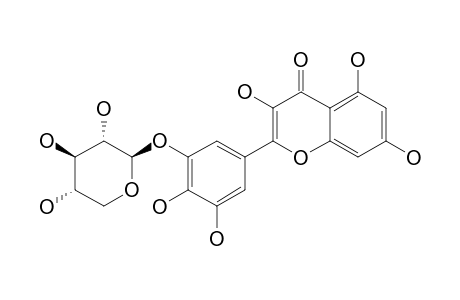 MYRICETIN-3'-O-XYLOPYRANOSIDE