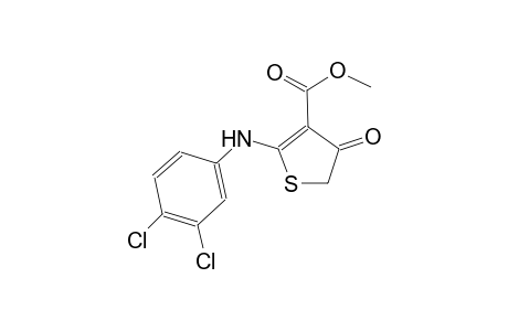 methyl 2-(3,4-dichloroanilino)-4-oxo-4,5-dihydro-3-thiophenecarboxylate