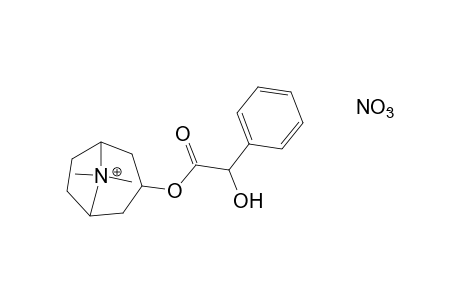 3-HYDROXY-8-METHYL-1alphaH,5alphaH-TROPANIUM NITRATE, MANDELATE (ESTER)