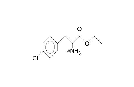 3-(4-Chlorophenyl)-alanine ethyl ester cation