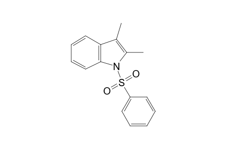 2,3-dimethyl-1-phenylsulfonylindole