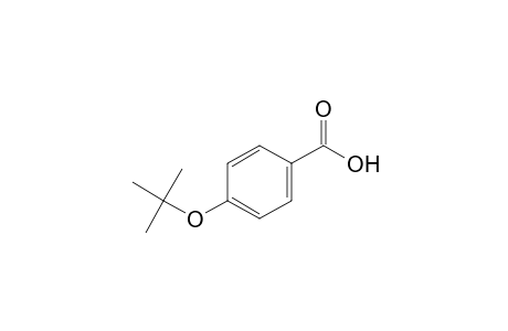 Benzoic acid, 4-(1,1-dimethylethoxy)-