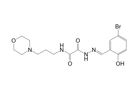 2-[(2E)-2-(5-bromo-2-hydroxybenzylidene)hydrazino]-N-[3-(4-morpholinyl)propyl]-2-oxoacetamide