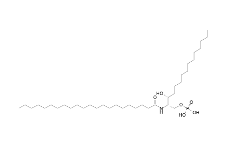 CerP 15:0;2O/22:0