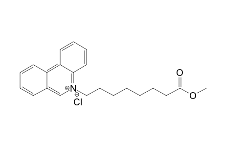 N-[7-(Methoxycarbonyl)heptyl]phenanthridinium chloride