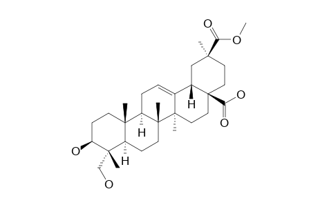 PHYTOLACCAGENIC-ACID