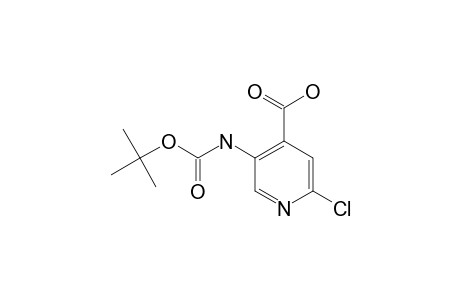 2-CHLORO-5-(tert-BUTOXY-CARBONYL-AMINO)-PYRIDINE-4-CARBOXYLIC-ACID