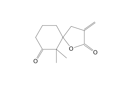 6,6-DIMETHYL-3-METHYLENE-1-OXASPIRO[4.5]DECANE-2,7-DIONE