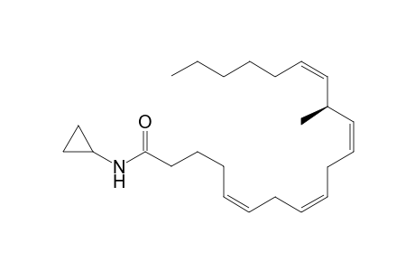 (13S,5Z,8Z,11Z,14Z)-N-Cyclopropyl-13-methyleicosa-5,8,11,14-tetraenamide