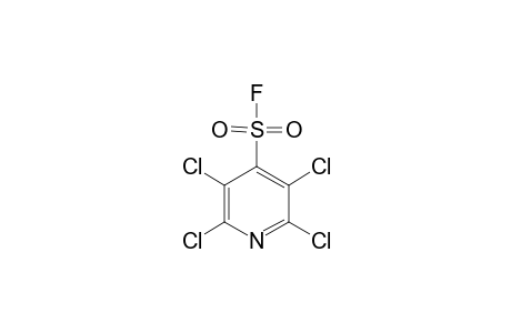 2,3,5,6-TETRACHLORO-4-FLUOROSULFONYLPYRIDINE