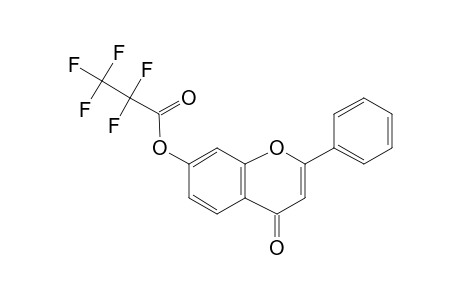 7-(Pentafluoropropionyl)oxyflavone