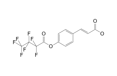 p-Coumaric acid HFB