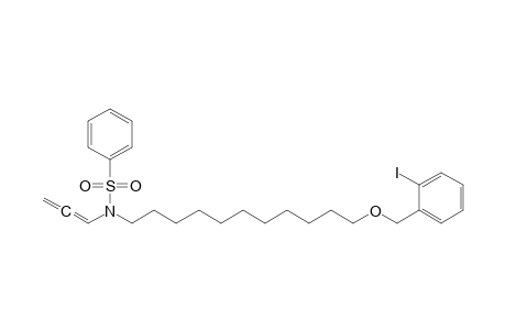 O-Iodobenzyl N-(phenylsulfonyl)-N-(1,2-propadienyl)aminoundecyl ether