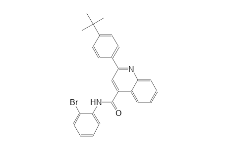 N-(2-bromophenyl)-2-(4-tert-butylphenyl)-4-quinolinecarboxamide