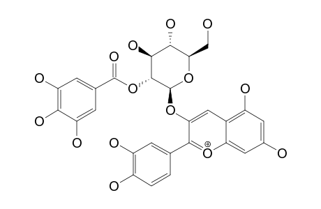 CYANIDIN-3-O-(2''-O-GALLOYL-BETA-D-GALACTOPYRANOSIDE)