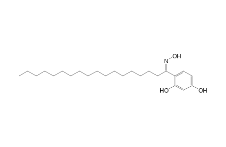 1-Octadecanone, 1-(2,4-dihydroxyphenyl)-, oxime