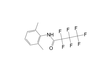 N-(2,6-Dimethylphenyl)-2,2,3,3,4,4,4-heptafluorobutanamide