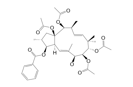 (2R*,3S*,4S*,7S*,8S*,9S*,13S*,14S*,15R*)-8,9,14,15-TETRAACETOXY-3-BENZOYLOXY-7-HYDROXY-JATROPHA-5E,11E-DIENE