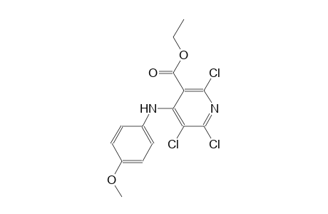 3-pyridinecarboxylic acid, 2,5,6-trichloro-4-[(4-methoxyphenyl)amino]-, ethyl ester