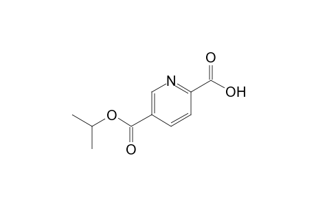 5-Carboisopropoxypyridine-2-carboxylic acid