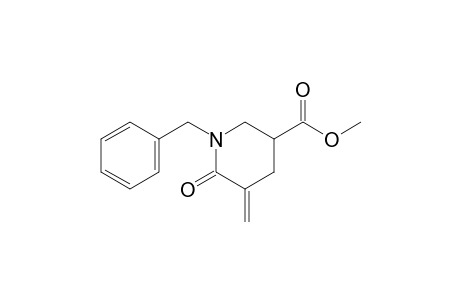 Methyl 1-Benzyl-3-methylene-2-oxopiperidine-5-carboxylate