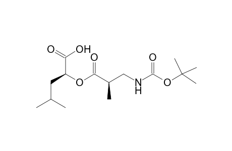 (2S)-2-[(2R)-3-(tert-butoxycarbonylamino)-2-methyl-propanoyl]oxy-4-methyl-valeric acid