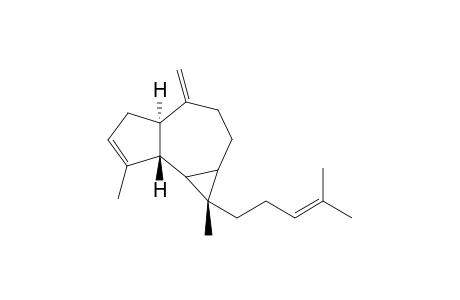 Anhydrocneorubin-X