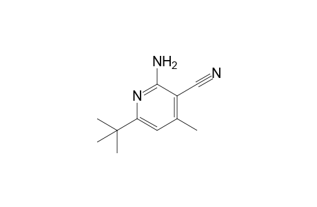 2-Amino-6-tert-butyl-4-methylpyridine-3-carbonitrile