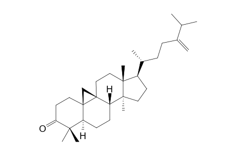 24-METHYLENECYCLOART-3-ONE