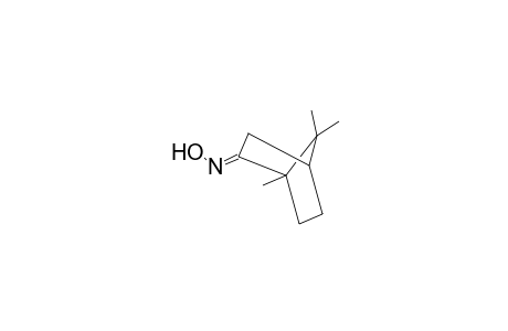 D-Camphor oxime