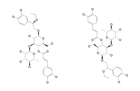 ILICIFOLIOSIDE-A;BETA-ETHOXY-BETA-(3',4'-DIHYDROXYPHENYL)-ETHYL-O-ALPHA-L-RHAMNOPYRANOSYL-(1->3)-4-O-CAFFEOYL-BETA-D-GLUCOPYRANOSIDE