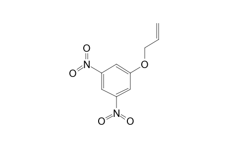 1,3-Dinitro-5-(prop-2-en-1-yloxy)benzene