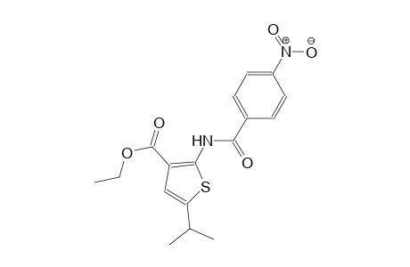 ethyl 5-isopropyl-2-[(4-nitrobenzoyl)amino]-3-thiophenecarboxylate