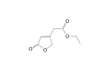 2-(5-keto-2H-furan-3-yl)acetic acid ethyl ester