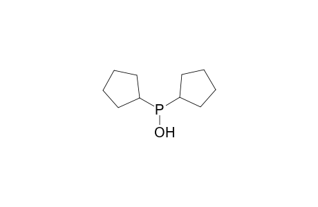 dicyclopentylphosphinous acid