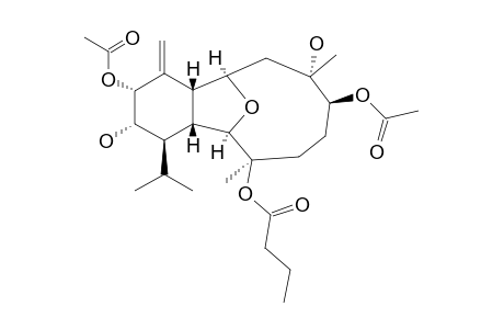 KLYMOLLIN_O