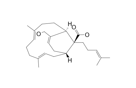 EMERICELLENE_C;(+)-17-HYDROXYEMERICELLA-3-E,7-E,12-Z,22-TETRAEN-16-OIC_ACID