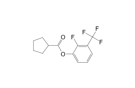 Cyclopentanecarboxylic acid, 2-fluoro-3-trifluoromethylphenyl ester