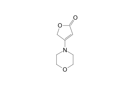 4-MORPHOLINYL-BUT-2-ENOLIDE