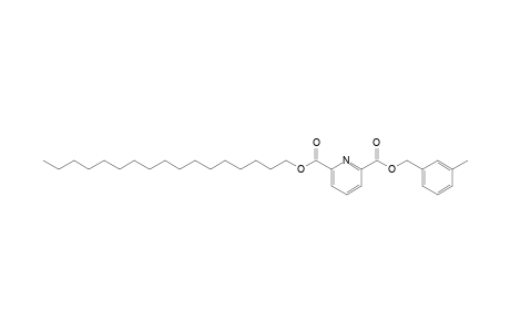 2,6-Pyridinedicarboxylic acid, 3-methylbenzyl heptadecyl ester