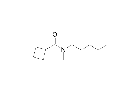 Cyclobutylcarboxamide, N-methyl-N-pentyl-