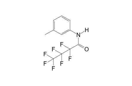 2,2,3,3,4,4,4-Heptafluoro-N-(3-methylphenyl)butanamide