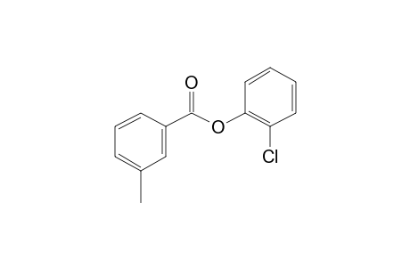 m-Toluic acid, 2-chlorophenyl ester