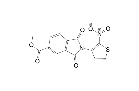 methyl 2-(2-nitro-3-thienyl)-1,3-dioxo-5-isoindolinecarboxylate